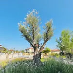 Ioniso Boutique Otel 3*