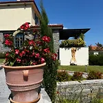 Ioniso Boutique Otel Vrasná