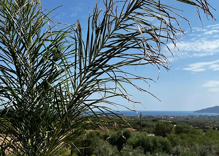 Ioniso Boutique Hotel Vrasná