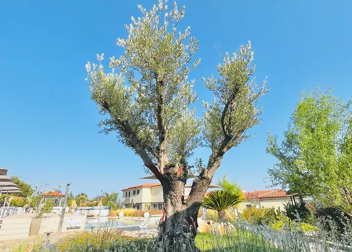 Ioniso Boutique Hotel 3*