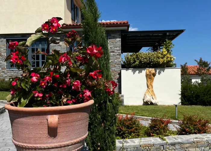 Ioniso Boutique Hotel Vrasná